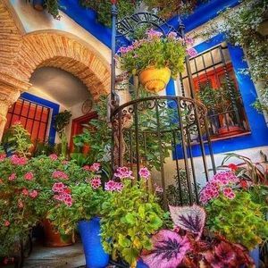 Meet your Posher, Barbara